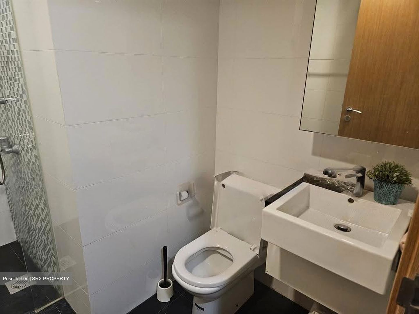 Oasis @ Elias (D18), Condominium #628321581